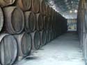 Interior Bodegas Luque