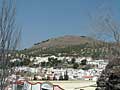 Retamal
